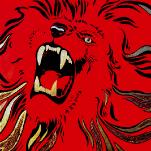 Lion10