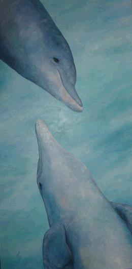 Fish5